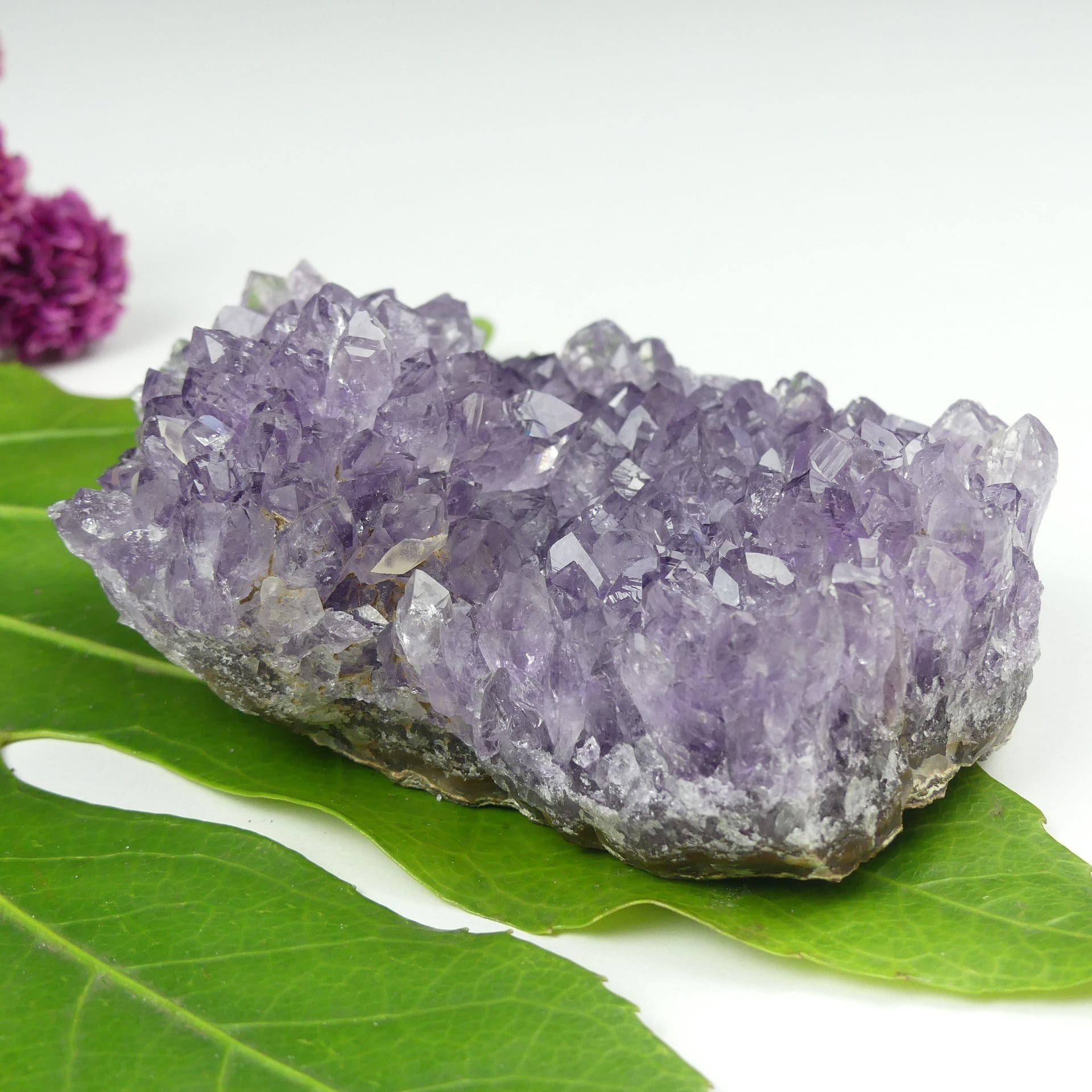 Amethyst Cluster - The Crystal Barn